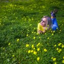 글쓰기 레시피, 봄 이미지