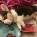 작은말학교 별내 이미지