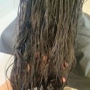 신데렐라헤어 이미지