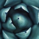 순마음의원 이미지