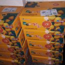 이강인농장 이미지