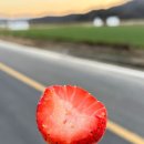 미주농장 이미지