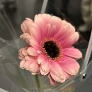 서교경로당 이미지