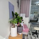 까미랑 몽이 이미지