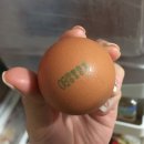 장항양계 이미지