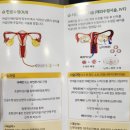 안산연세안과의원 | 안산 연세아이소망여성의원 시험관 성공 후기 (feat. 타임랩스)