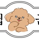 미화스킨케어