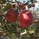 유창농장 이미지