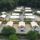 느티나무야영장 이미지