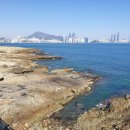 남해-225 이미지