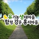 홍지마을 이미지