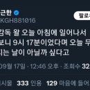 오늘 기아가 우승 확정 지은.EU 이미지