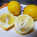 에바다1농장 이미지