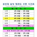 용인대삼성태권도 이미지