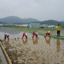 고흥군농업기술센터 이미지