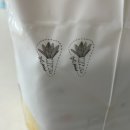 모모농장 | [모모래빗] 당근농장 후기 및 등기발송 :: 보타니컬테라피 엉덩이 클렌저 당근100개