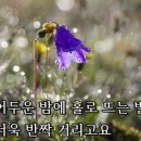 별7080 이미지