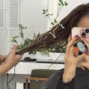 광명사거리역 | 광명사거리미용실 네이플헤어 광명사거리역점 여자머리 클리닉 후기