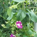 신천2리 이미지