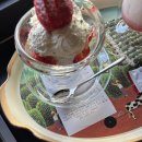 국제이벤트 | 제 27회 전주국제영화제 자원봉사 지프지기 프로그램 이벤트팀 서류 / 면접 합격 후기