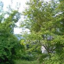 호수로126번길 이미지