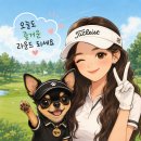 포웰CC 안성 라운드 후기 ⛳ 사진 찍기 좋고 풍경 예뻤던 서울 근교 골프장