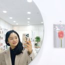 살롱드비비 이미지