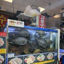 고흥수산 | 노량진수산시장 대방어 :: 노량진수산시장 횟집 1등, 내돈내산 추천 "고흥수산" 대방어 후기