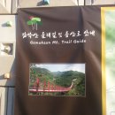 제189차 감악산(경기파주)출렁다리 둘레길 트레킹 정기산행활동공지 * 이미지