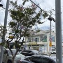 천진해수욕장 | | 강원도 고성 | 러닝 후 파삭 카츠산도로 천진해수욕장 즐기기 &#39;보배진&#39; 쩝쩝후기 ₍˄•͈⚇•͈˄₎