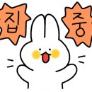 경포e바이크 이미지