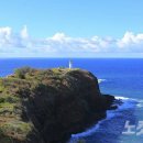 문지렌트 이미지