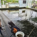 상무낚시터 이미지