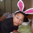 토끼나라 이미지