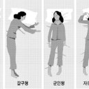 2811 Daum카페