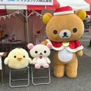 행복한생활수필쓰기 | [일본 워킹홀리데이 2025년 4분기 합격 후기 ♡] 1트 합격 필승 방법과 서류 준비, 각종 꿀팁부터...