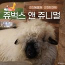 젝게코 앤 쥬 | 인천 서창 실내동물원 아이와 갈만한 곳 쥬벅스