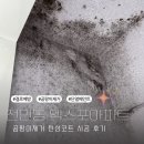 엑스포단열 | 대전 전민동 엑스포아파트 곰팡이제거 탄성코트 시공 후기