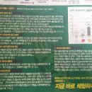 천연재료 고추냉이 함유 &#34;와사비아의 샤마르 치약&#34;사용후기