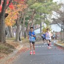 스포츠서울하프마라톤대회_251130 이미지