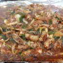 대왕곰장어 이미지