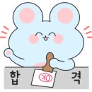 꼬두람이 이미지