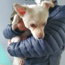 나운삼성아파트 이미지