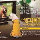 해피독(happy dog) 이미지