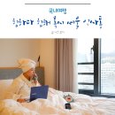 힙한 목시 서울 인사동 사진맛집이었네 조식패키지 + 목시아워 후기