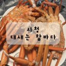 참바다 | 부산 시청역 대새는 참바다 홍게 무한리필 후기