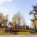 분수공원 다목적경기장 이미지