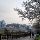 돈나라 이미지