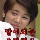 왓어왓 Daum카페