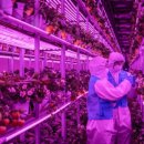 넥스트온 이미지